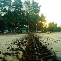 Two wheels move the soul!